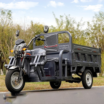 801-1000W Tricycle Electric 3 Wheel Electric Scooter για ενήλικες Ελέγχεται από έναν ελεγκτή τύπου σωλήνα
