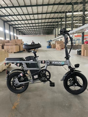 2024 Πλαστική EMU 1000w EMU Μεγάλη απόσταση Pedal City EMU με υλικό χάλυβα και μέγιστη ταχύτητα 30-50Km/h