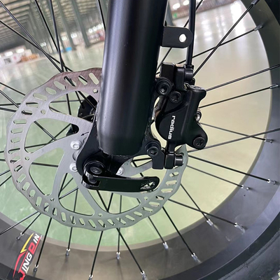 750w Motor Rear Hub Electric Powertrain για οχήματα ορεινού εδάφους