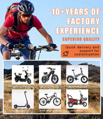 Ηλεκτρικό ποδήλατο πόλης 2024 250w 36v Carbon Belt DriveEbike για αστική