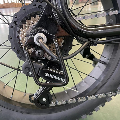7 Speed Electric City Bike 26 ιντσών Τρέντυ ηλεκτρικό ποδήλατο με πίσω τροχό δίσκο φρένο και 20 * 2,8 &quot; πλάτος ελαστικών