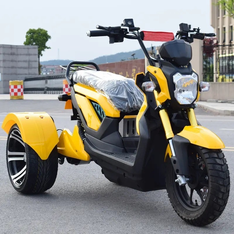 Όλο σωλήνα τύπου Ηλεκτρικό ανοιχτό 48v/60v Ποδήλατο Τρικυκλίτης Μοτοσικλέτα Τρικυκλίτης Φορτίο και επιβάτες Τρικυκλίτης για 2 επιβάτες
